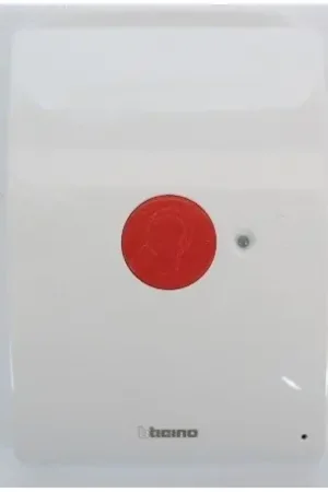 Authentique Boucle inductive bus 2 fils BTICINO 344165