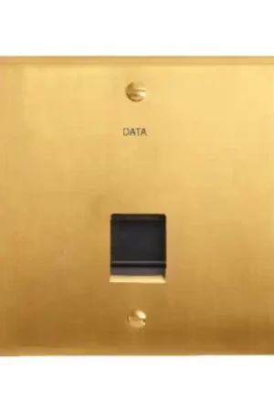 Art d‘arnould - prise rj45 6a stp mémoire or brossé Haute Qualité